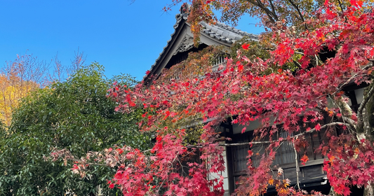第4回「袖日和 」秋の湯河原を五感で楽しむ。湯河原の名旅館「富士屋（瓢六亭）」にてランチ会